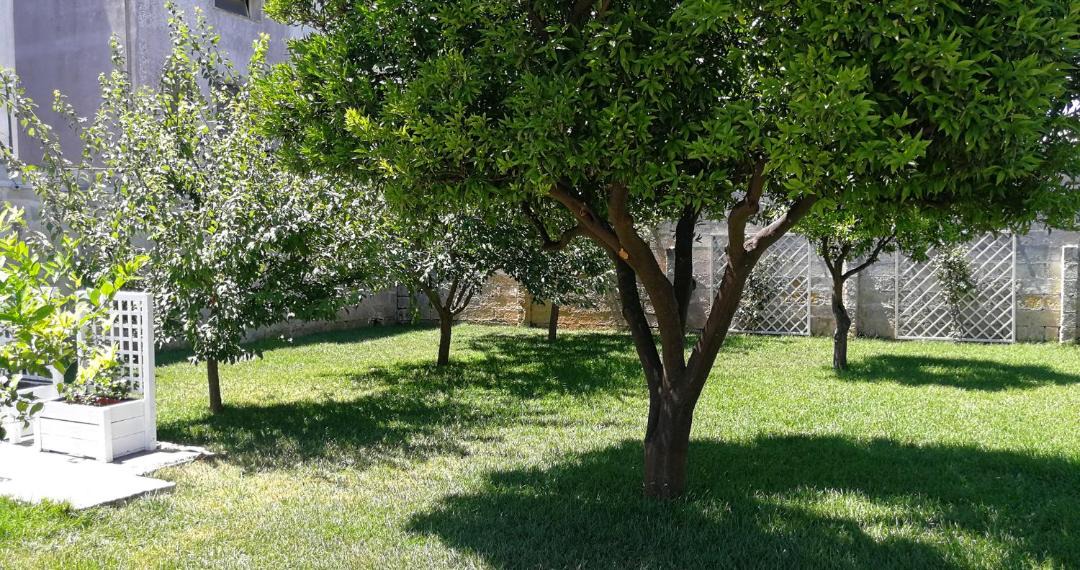 Photo of Outdoor in Poggiardo