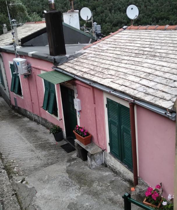 Photo of Others in Levanto
