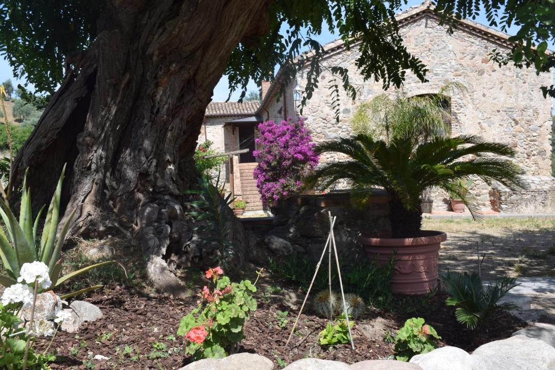 Photo of Buildings in Rossano