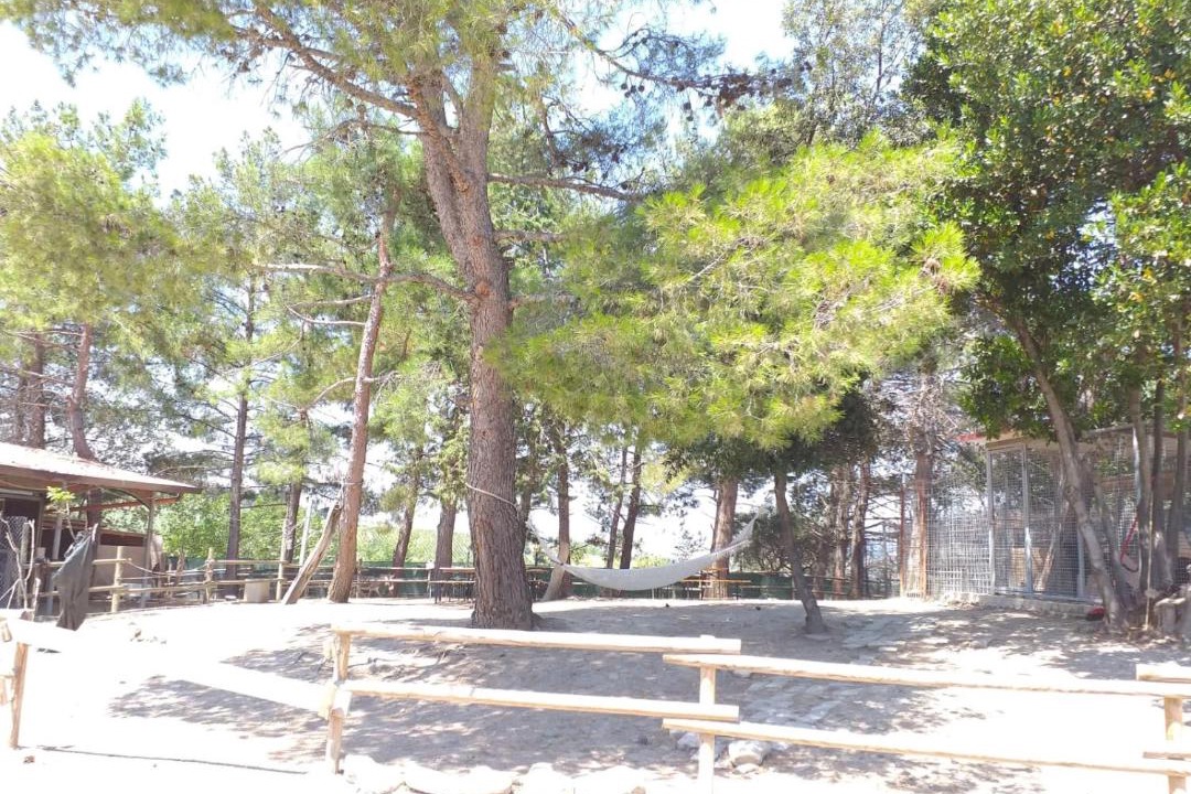 Photo of Others in Montecarotto