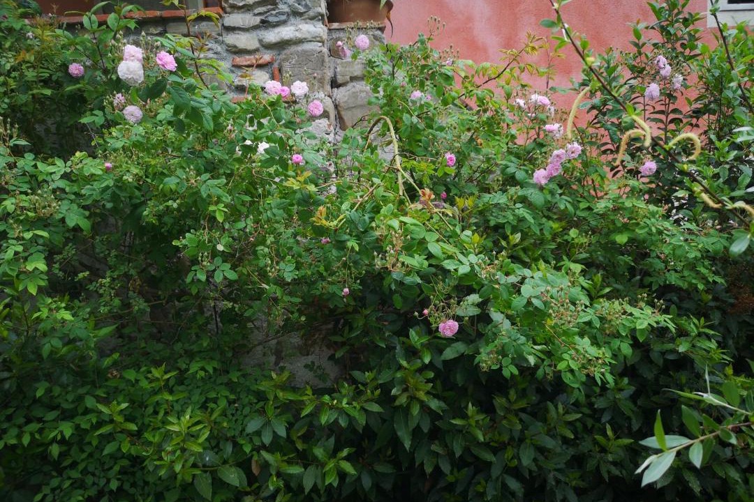 Photo of Others in Borghetto-melara