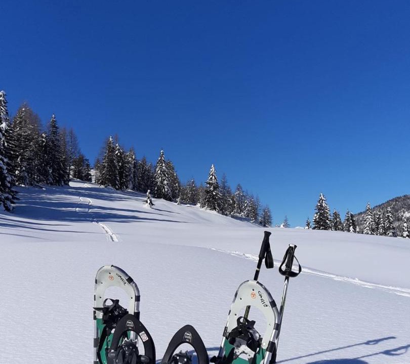 Photo of Others in Auronzo di Cadore