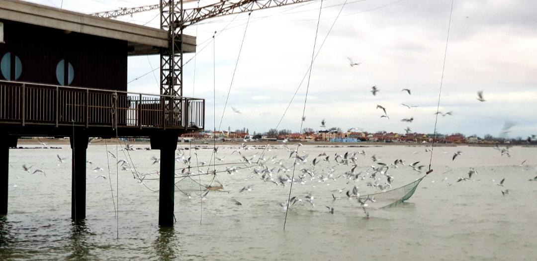 Photo of Others in Porto Garibaldi
