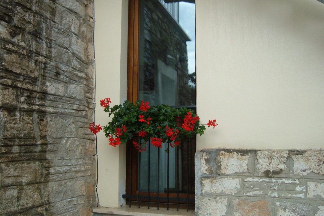 Photo of Others in Serre di Rapolano