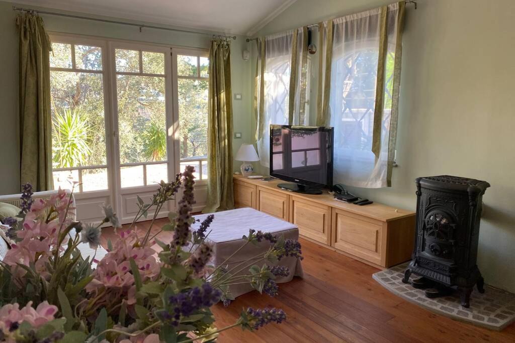 Photo of Livingroom in Pietra Ligure
