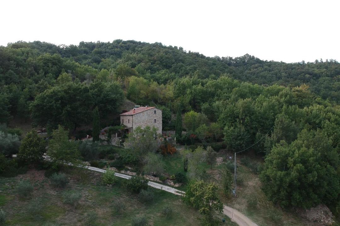 Photo of Others in Castelnuovo di Val di Cecina