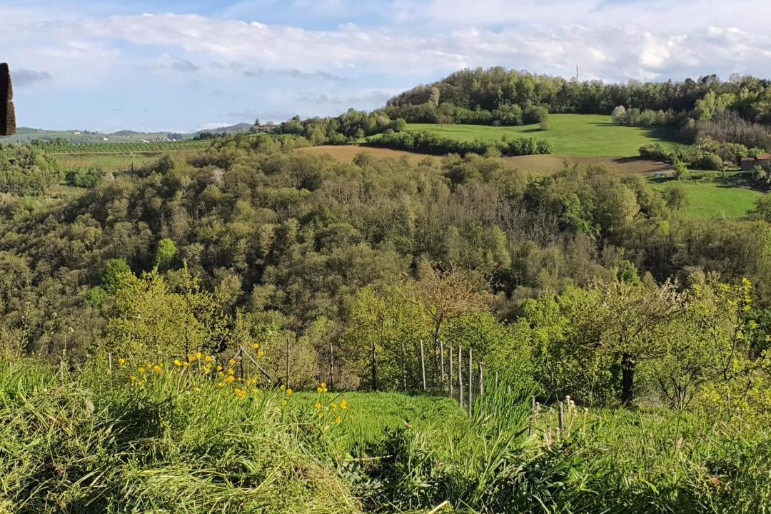 Photo of Outdoor in Bossolasco