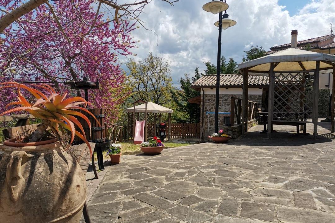 Photo of Buildings in Agropoli
