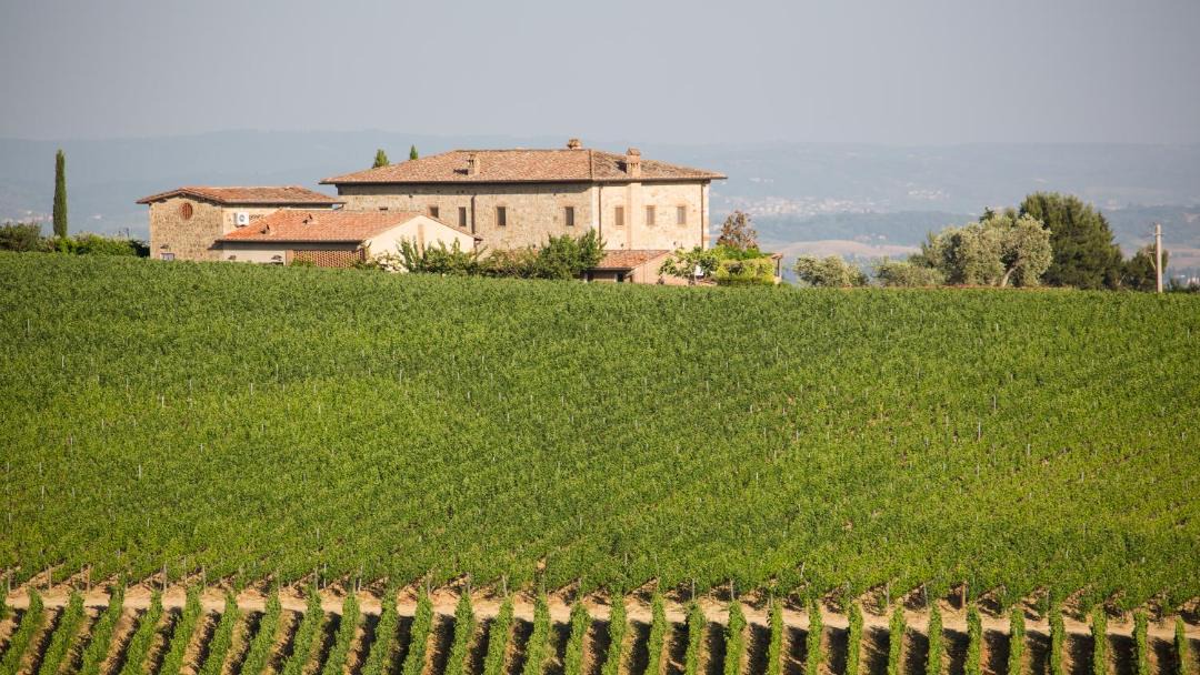 Photo of Others in Castelnuovo Berardenga