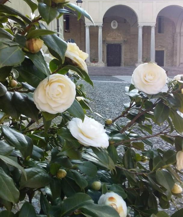 Photo of Others in Acqui Terme