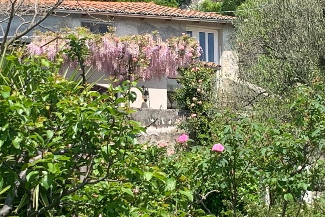 Photo of Others in Calice Ligure