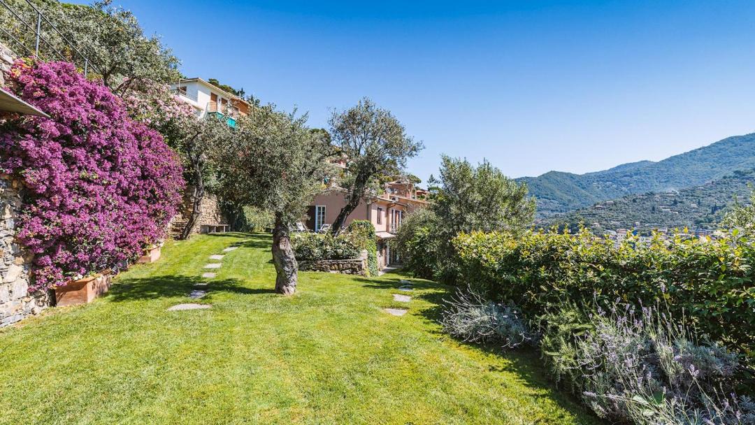 Photo of Others in Recco