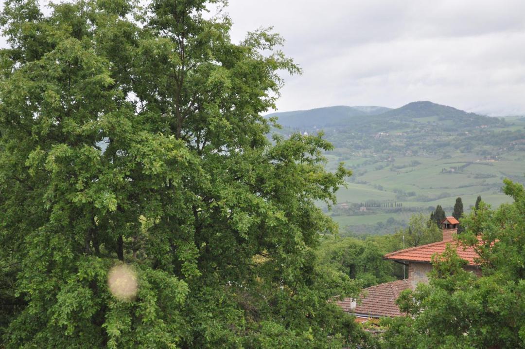 Photo of Others in Montefollonico