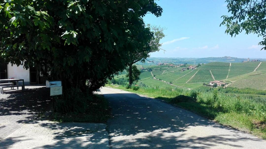 Photo of Others in Barbaresco