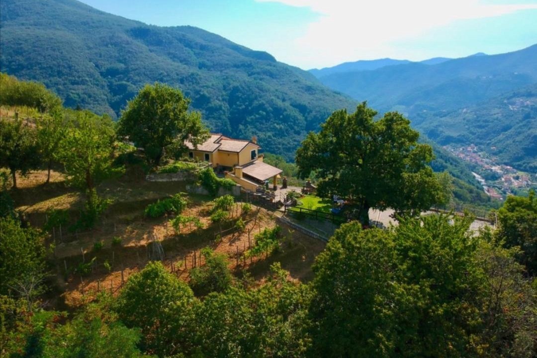 Photo of Others in Mezzanego