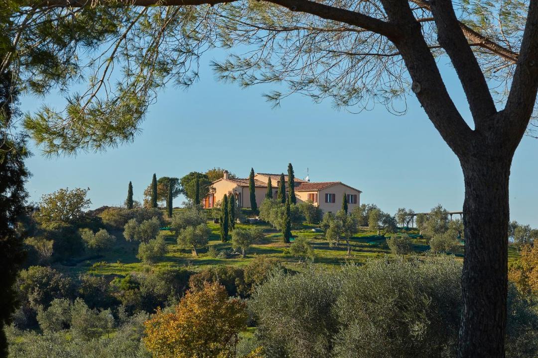 Photo of Others in Grosseto