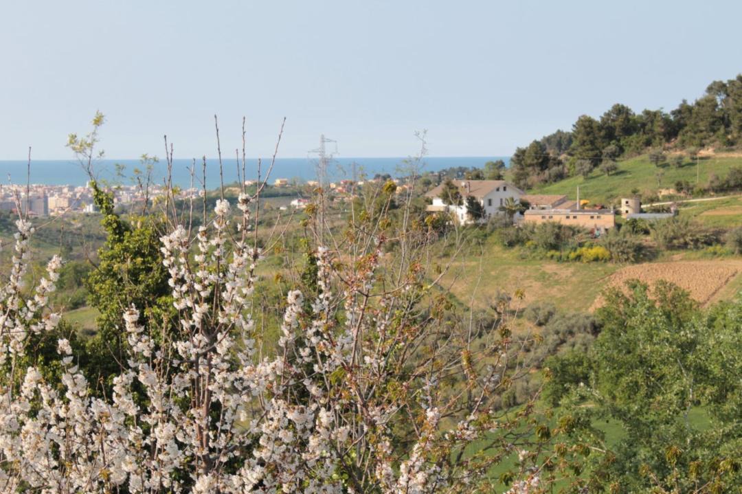 Photo of Outdoor in Pescara