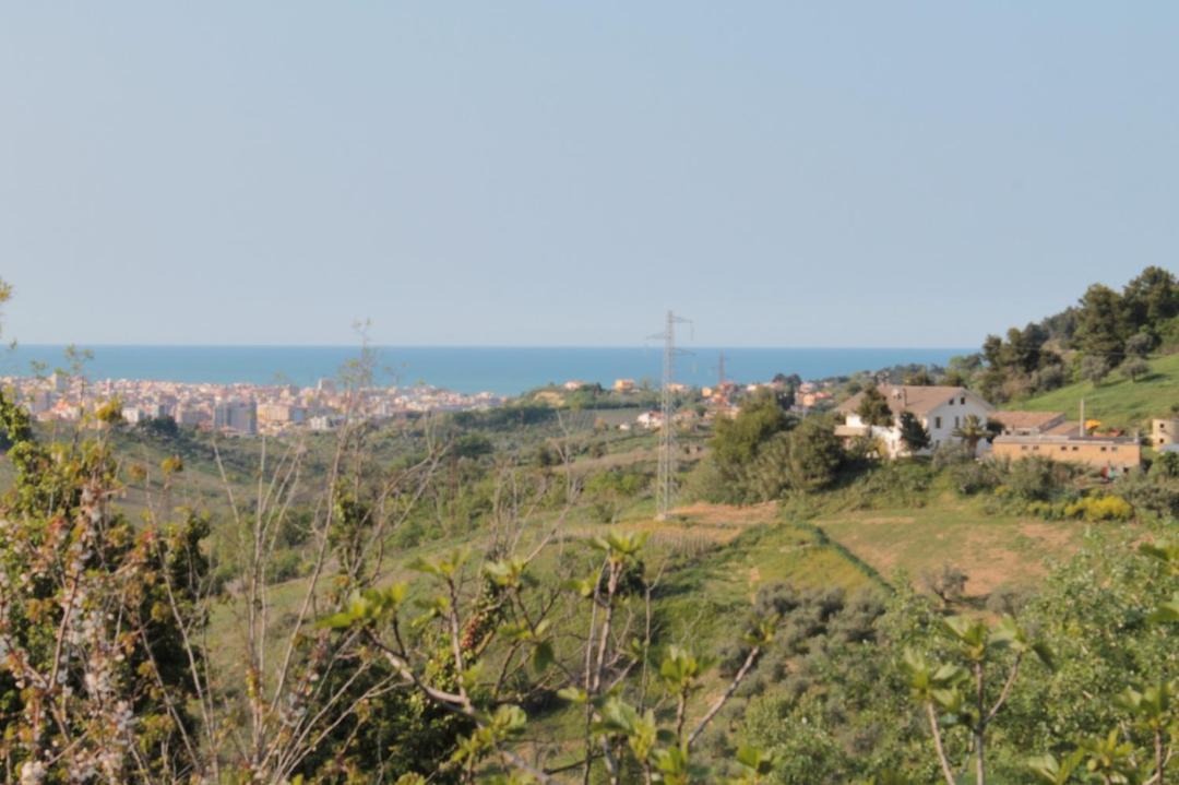Photo of Outdoor in Pescara