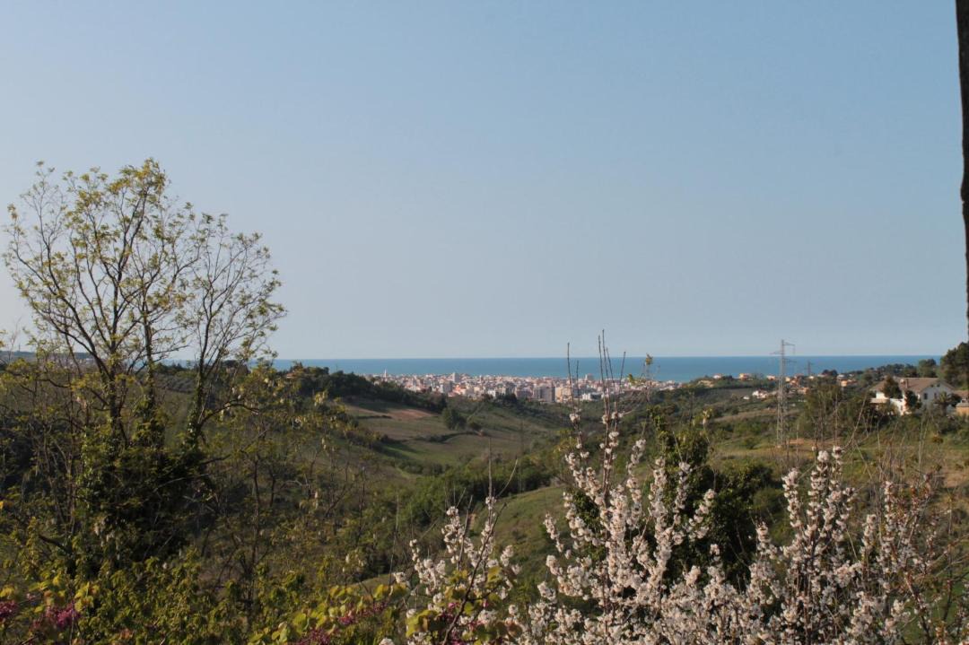 Photo of Outdoor in Pescara
