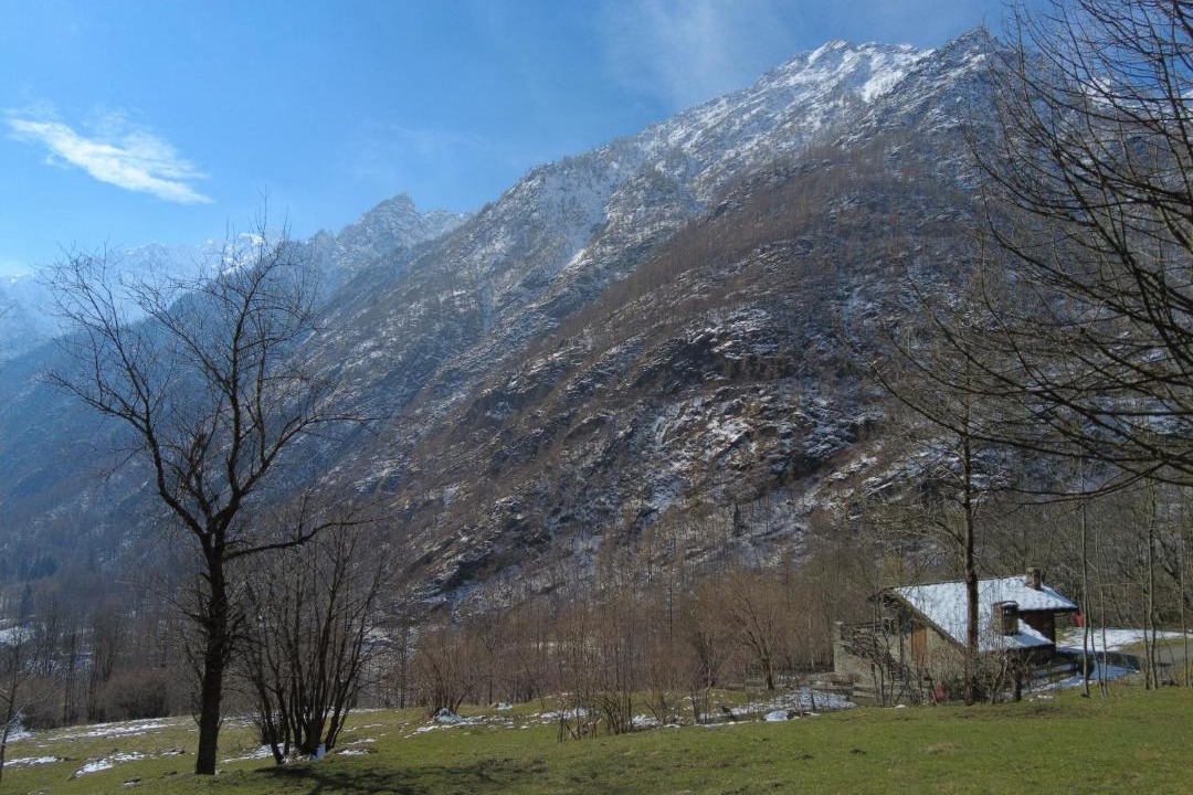 Photo of Others in Ronco Canavese