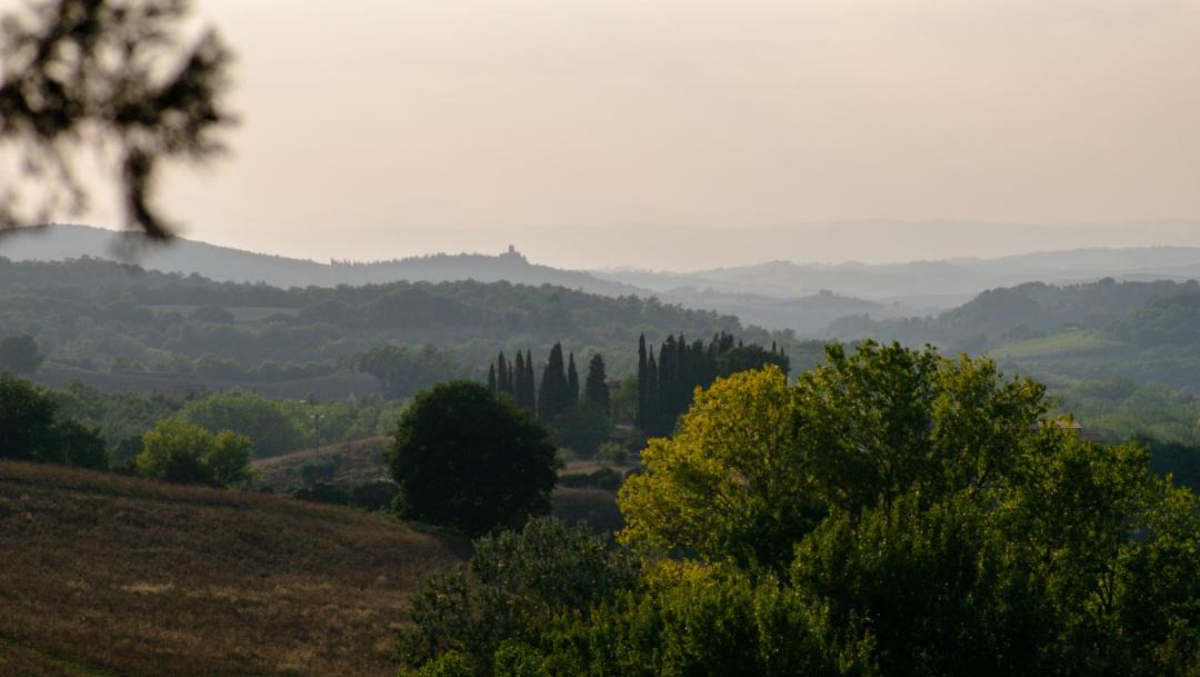 Photo of Others in Torrita di Siena
