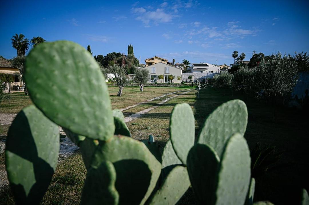 Photo of Others in Gallina