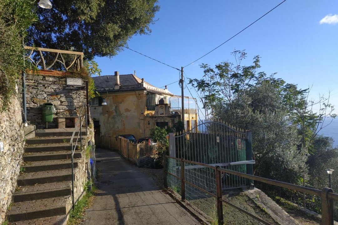 Photo of Others in Pieve Ligure