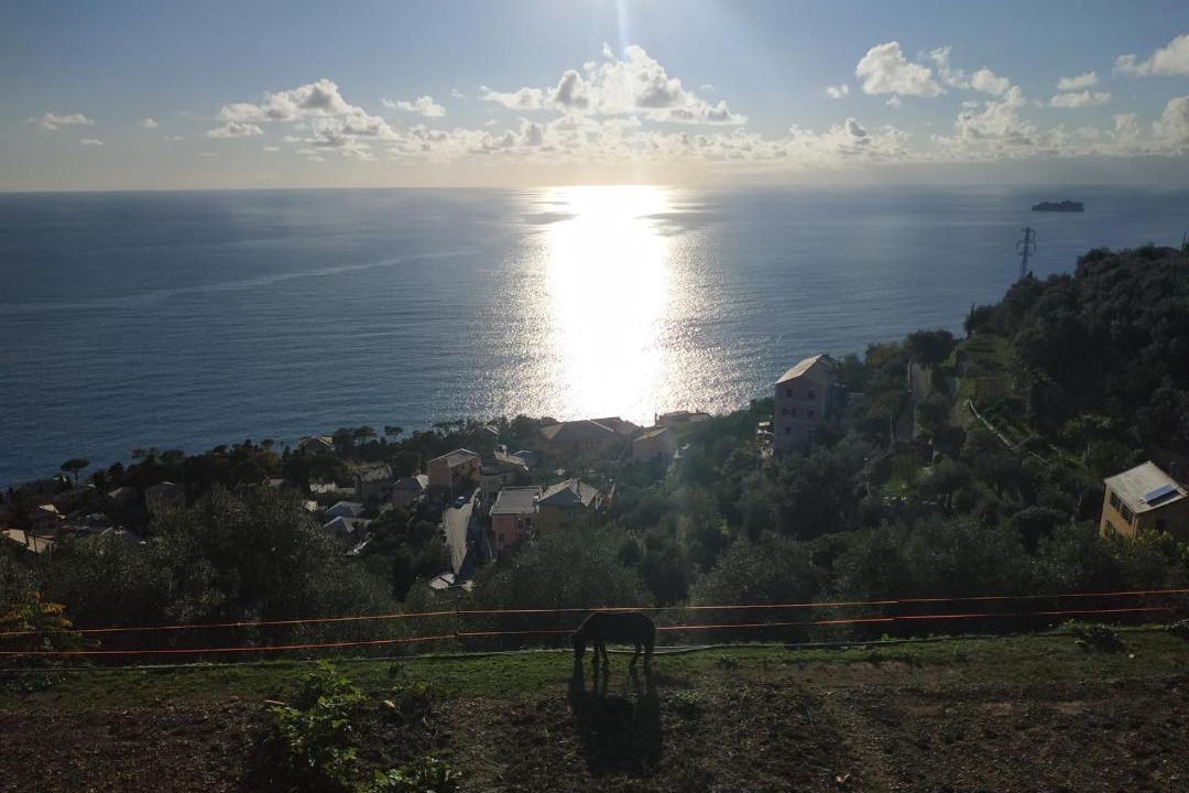 Photo of Outdoor in Pieve Ligure