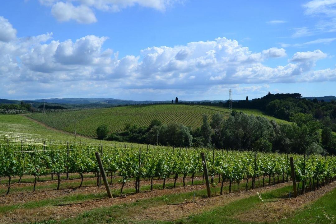 Photo of Others in Montefiridolfi