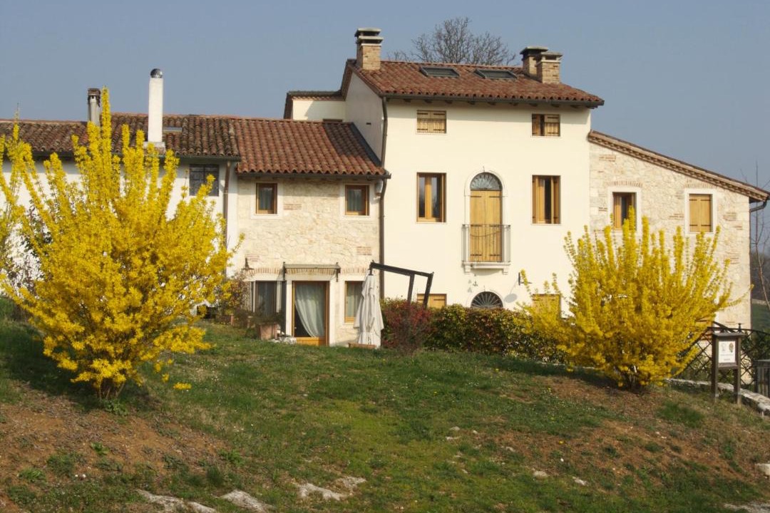Photo of Others in Arcugnano