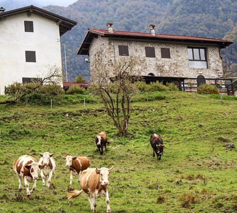 Photo of Buildings in Socchieve