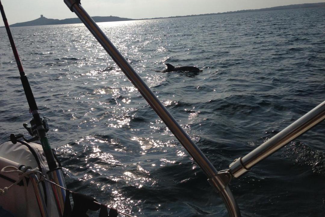 Photo of Others in Sardinia