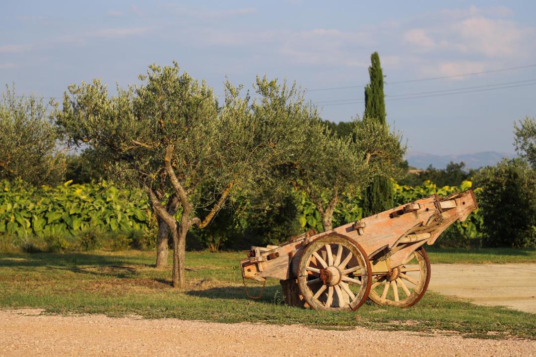 Photo of Others in Marsciano