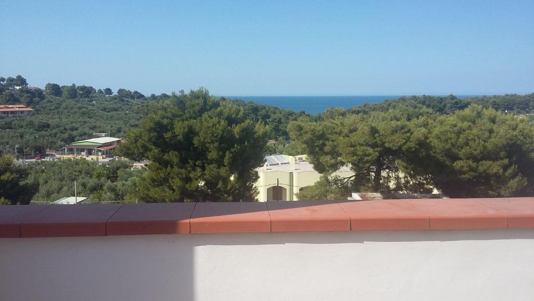 Photo of Patio Balcony in Defensola