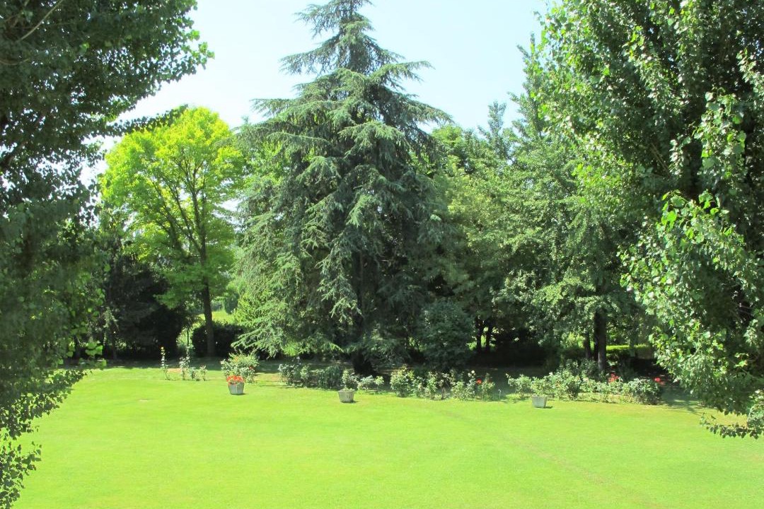 Photo of Outdoor in Gargallo