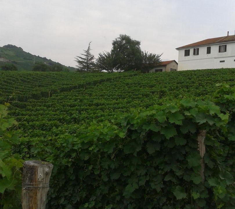 Photo of Others in Santo Stefano Belbo