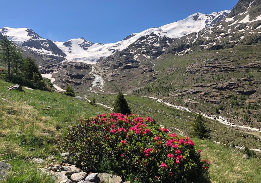 Photo of Others in Santa Caterina Valfurva
