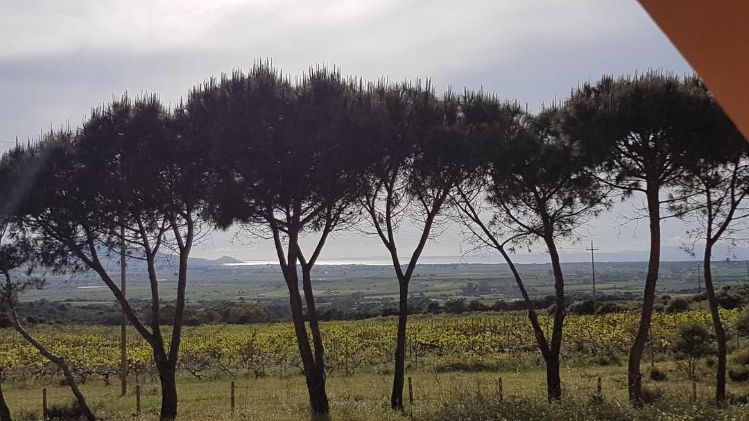 Photo of Outdoor in Viddalba