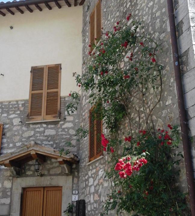 Photo of Others in Vallo di Nera