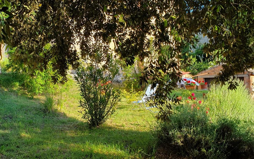 Photo of Others in Montefollonico