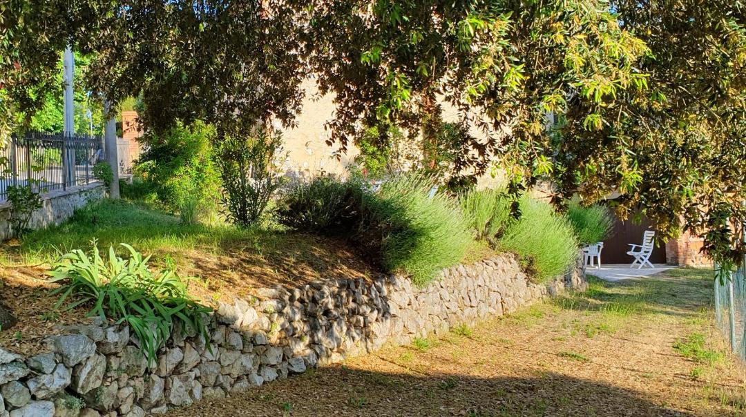 Photo of Others in Montefollonico