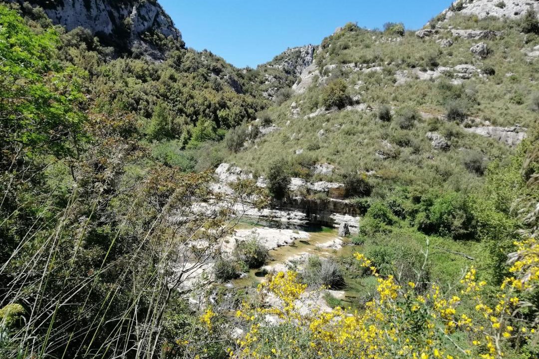 Photo of Others in Canicattini Bagni