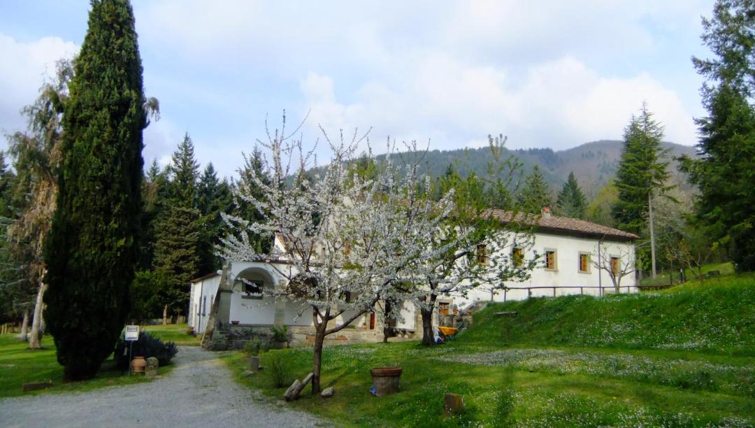 Photo of Others in Fivizzano