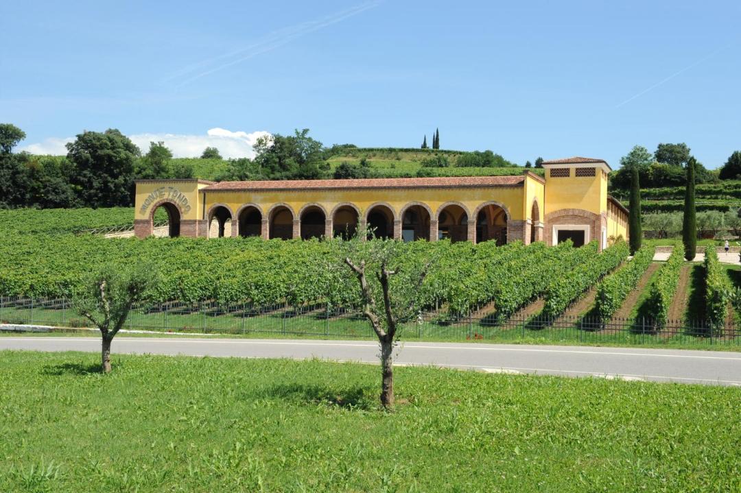Photo of Others in Soave
