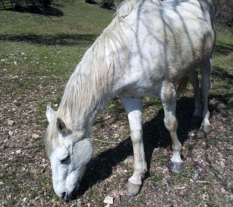 Photo of Others in Montieri