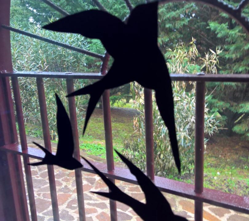 Photo of Patio Balcony in Montecastrilli