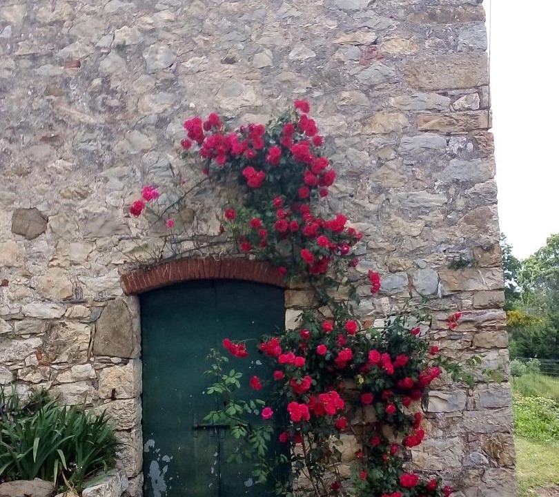Photo of Buildings in Montieri