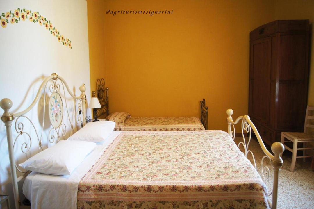 Photo of Others in Orciatico