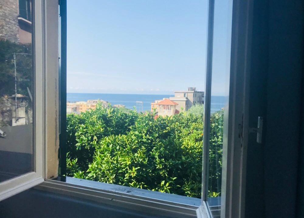 Photo of Others in Recco