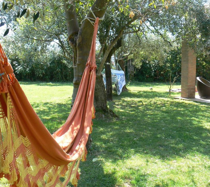 Photo of Others in Querceta